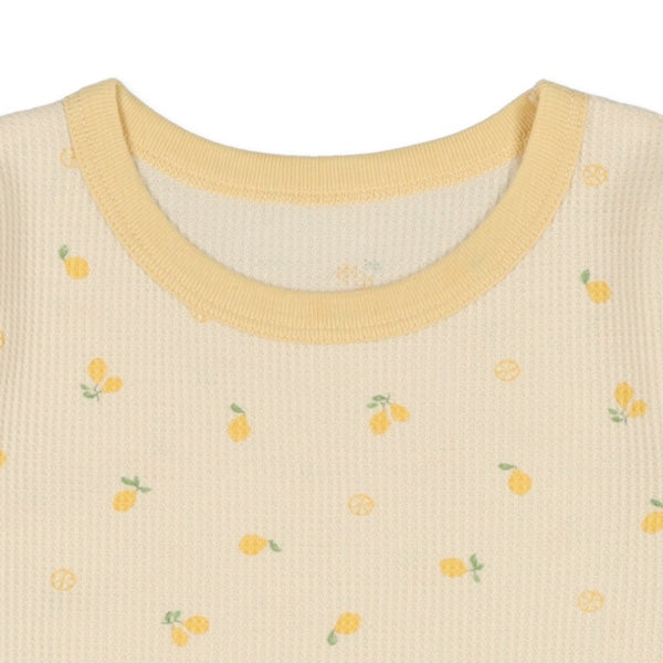 Bundle PA Autumn/Winter/Spring