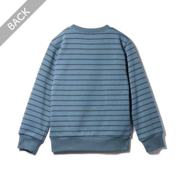 Kids' Boy Brushed Sweatshirt (Winter)