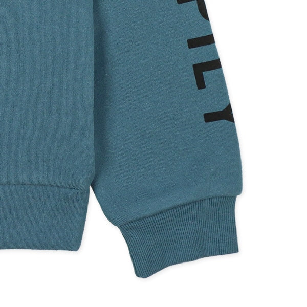 Boys' Schoolwear Brushed Sweatshirt (Winter)