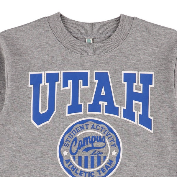 College Logo Sweatshirt (Winter, Spring, Autumn)