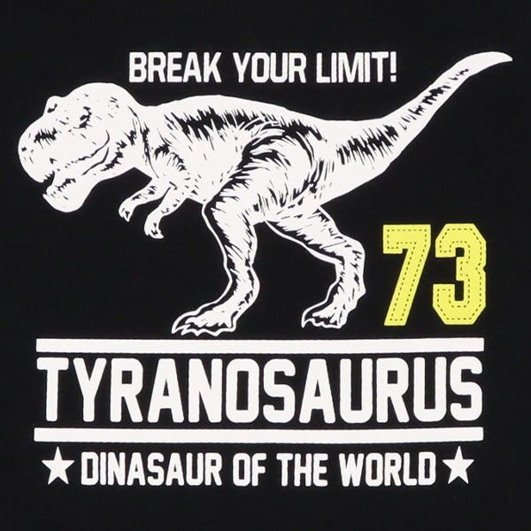Dinosaur Short Sleeve T-shirt and Pants Set