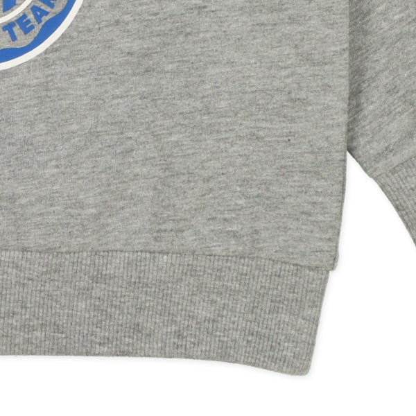 College Sweatshirt (Winter, Spring, Autumn)