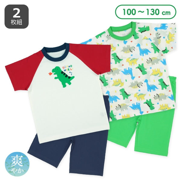 Dinosaur Short Sleeve T-shirt and Pants Set
