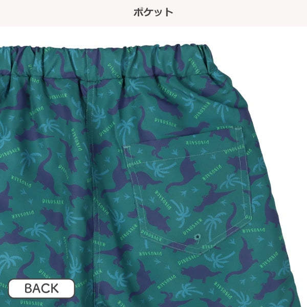 Dinosaur Swimwear