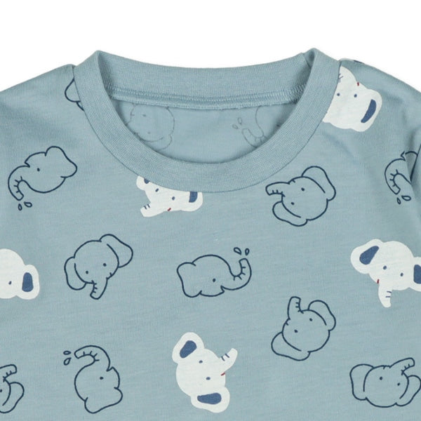 Bear T-shirt and Pants Set