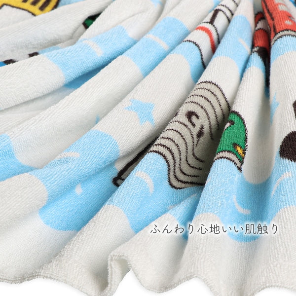 Vehicle Towel Blanket