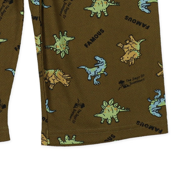 Dinosaur Long Underwear