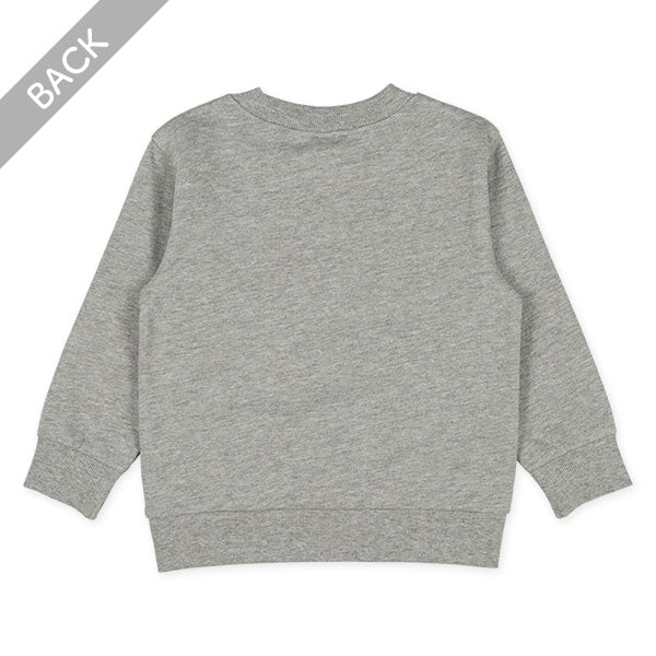 College Sweatshirt (Winter, Spring, Autumn)