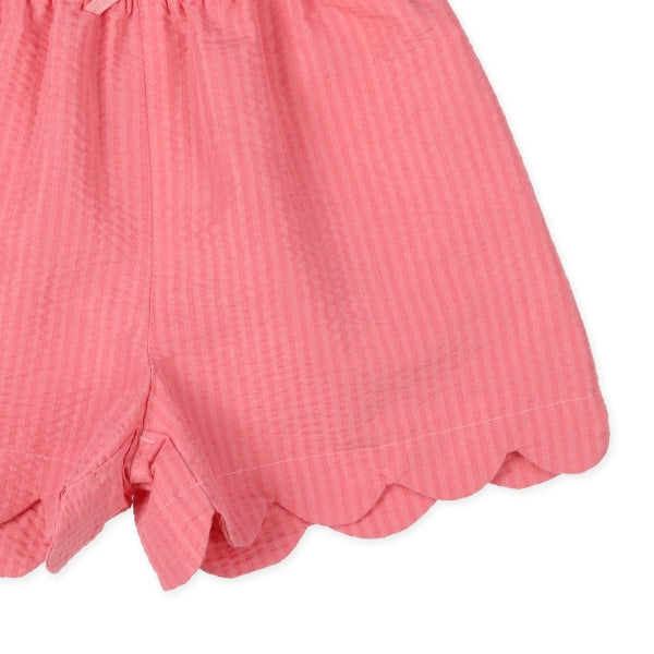 Plain Culotte