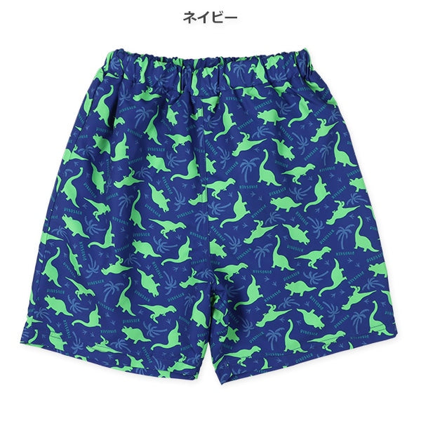 Dinosaur Swimwear