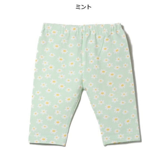 Knit Shorts