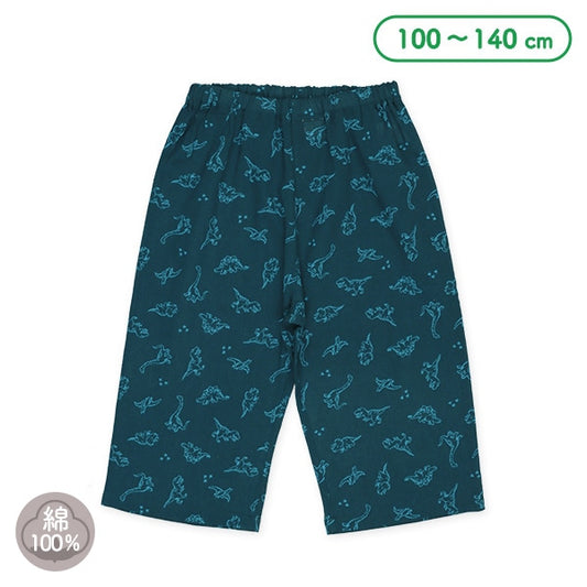 Dinosaur Long Underwear