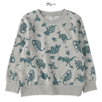 Dinosaur  Sweatshirt (Spring)