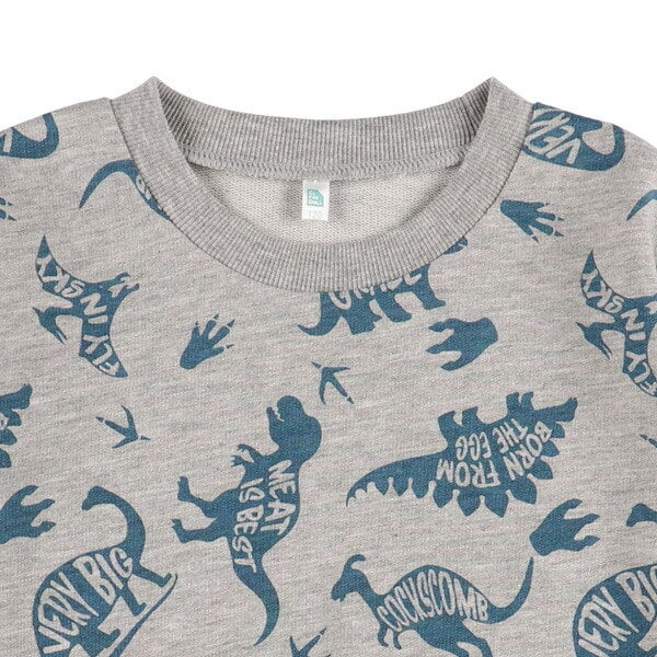 Dinosaur Long Sleeve T-shirt