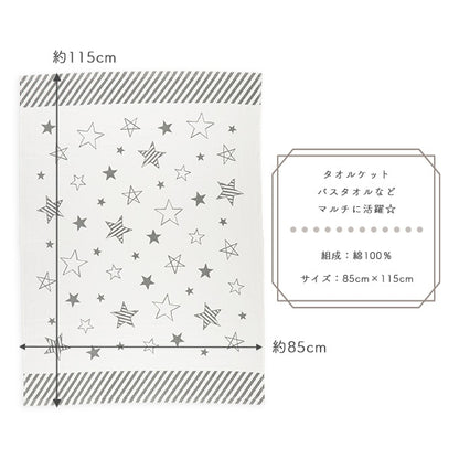 Towel Blanket