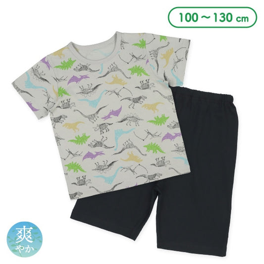 Dinosaur Short Sleeve T-shirt and Pants Set