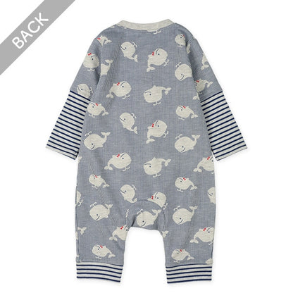 Long Sleeve Baby Romper (Spring)
