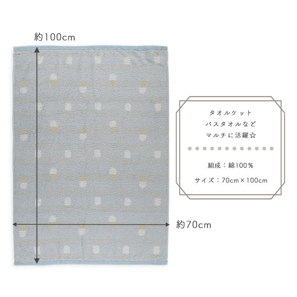 Towel Blanket