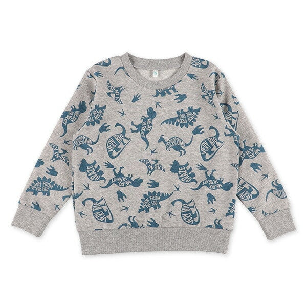 Dinosaur Long Sleeve T-shirt