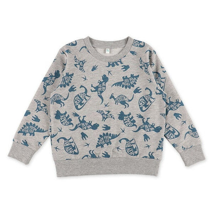 Dinosaur Long Sleeve T-shirt