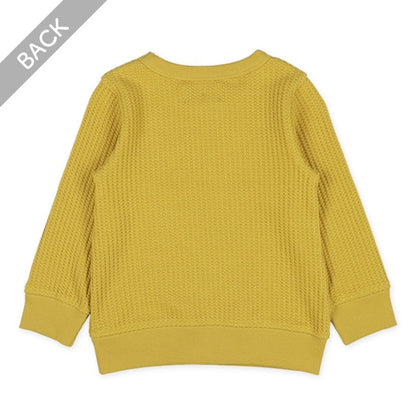 Waffle Seatshirt (Winter, Spring, Autumn)