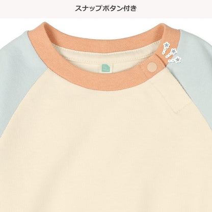 Color Block Raglan Sleeve Sweatshirt (Spring)