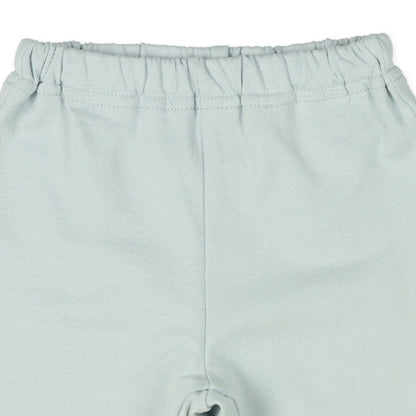Dinosaur  Pants (Spring)