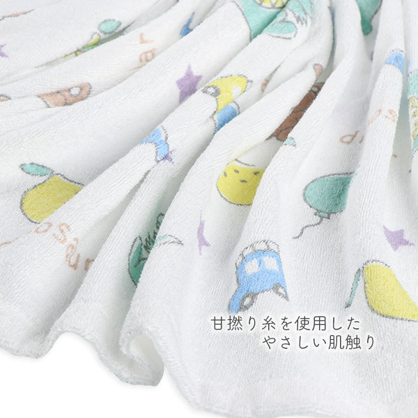 Towel Blanket