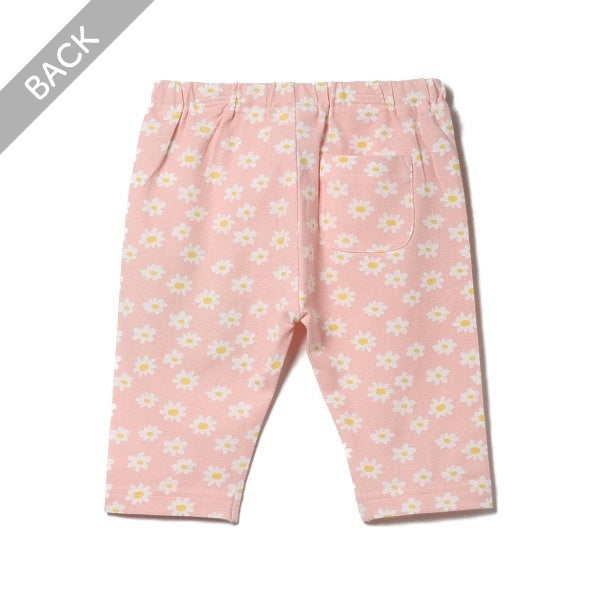 Knit Shorts
