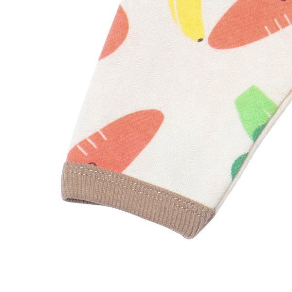 Vegetable Print  Sweatshirt (Winter, Spring, Autumn)