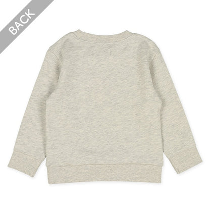 Plain Sweatshirt (Winter, Spring, Autumn)
