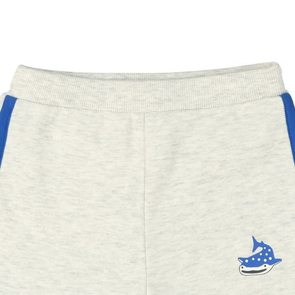 Knit Shorts