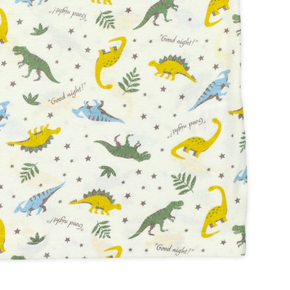 Dinosaur Short Sleeve T-shirt and Pants Set