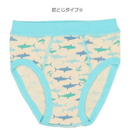 Brief