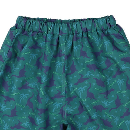 Dinosaur Swimwear