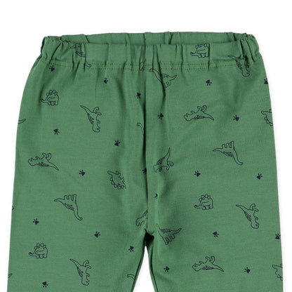 Dinosaur Print Leggings (Winter, Spring, Autumn)