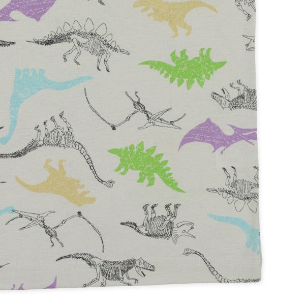 Dinosaur Short Sleeve T-shirt and Pants Set