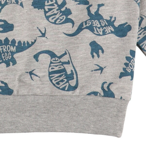 Dinosaur Long Sleeve T-shirt