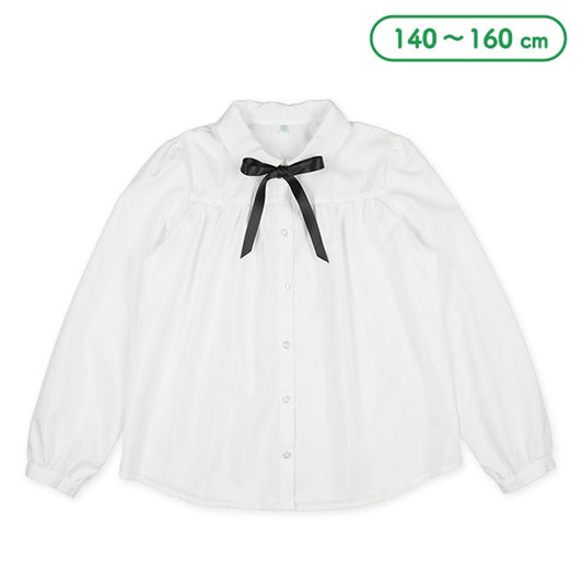 Polo Shirt  (Winter, Spring, Autumn)