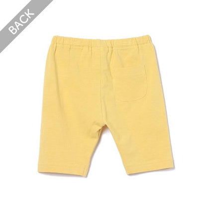 Knit Shorts