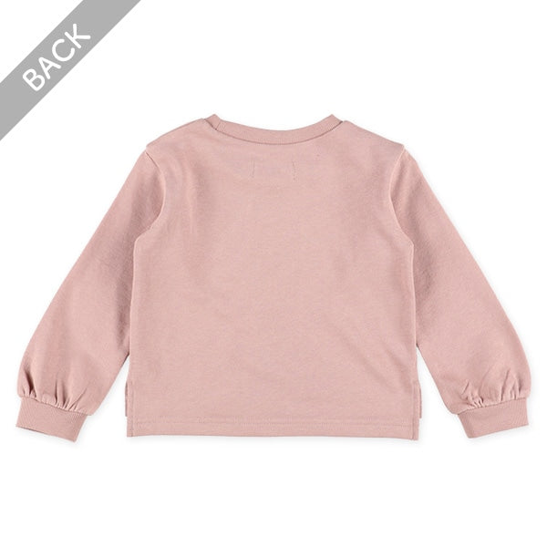 Plain Sweatshirt (Winter, Spring, Autumn)