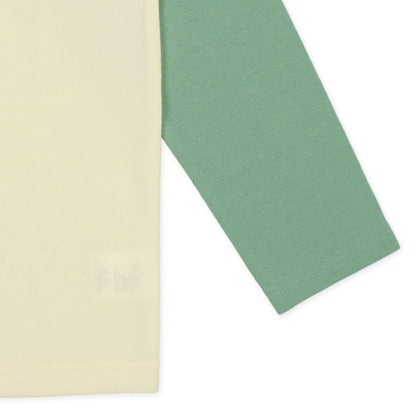 Basic (Autumn, Winter, Spring)