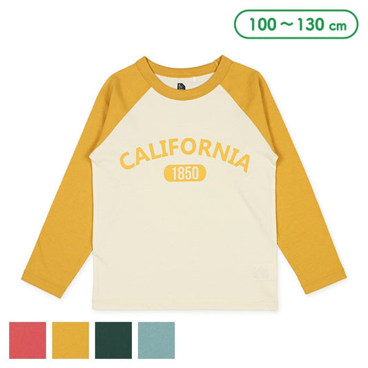 Contrasting Long Sleeve Shirt (Winter, Spring, Autumn)
