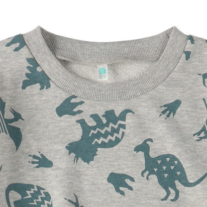 Dinosaur  Sweatshirt (Spring)