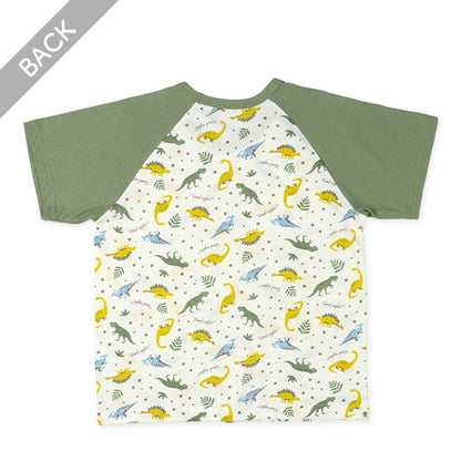 Dinosaur Short Sleeve T-shirt and Pants Set