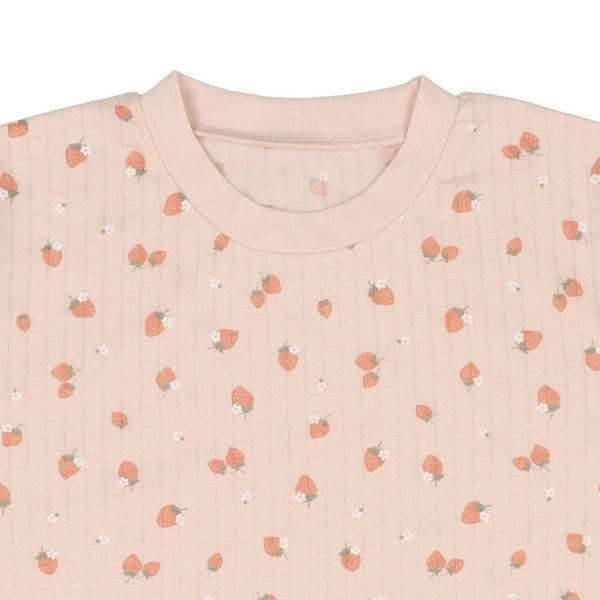 Knit PA (Autumn, Winter, Spring)
