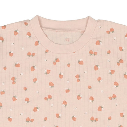 Knit PA (Autumn, Winter, Spring)