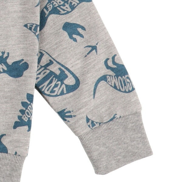 Dinosaur Long Sleeve T-shirt