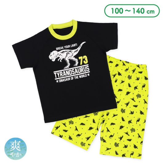 Dinosaur Short Sleeve T-shirt and Pants Set