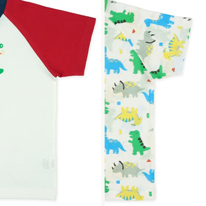 Dinosaur Short Sleeve T-shirt and Pants Set